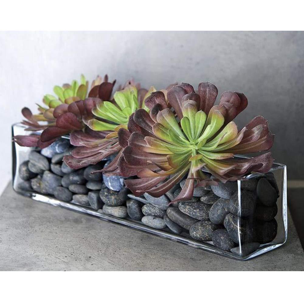 WGV Rectangle Block Glass Vase, Width 4", Length 12", Height 4", Clear Long Floral Container, Candle Holder for Home Office Wedding Decor, 1 Piece