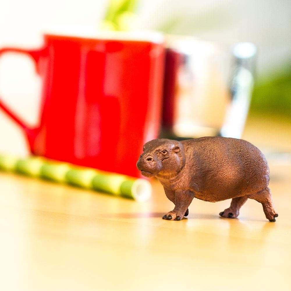 Safari Ltd. Pygmy Hippopotamus Figurine - Lifelike 3.25" Animal Figure - Educational Toy for Boys, Girls, and Kids Ages 3+