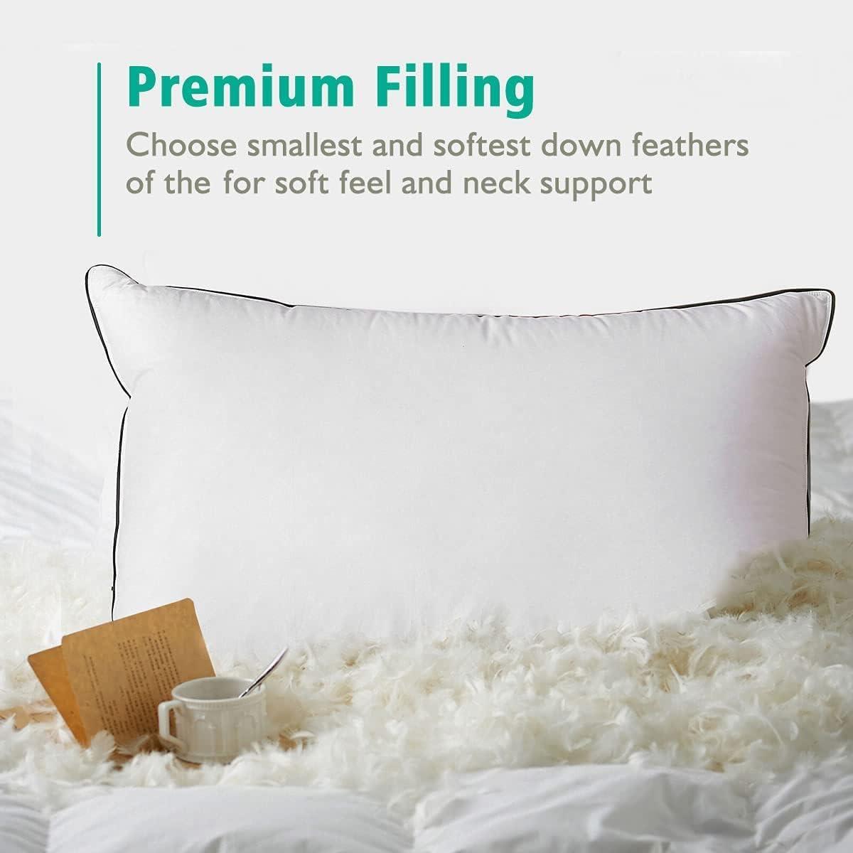 Standard White Cotton Feather Down Pillows Set of 2