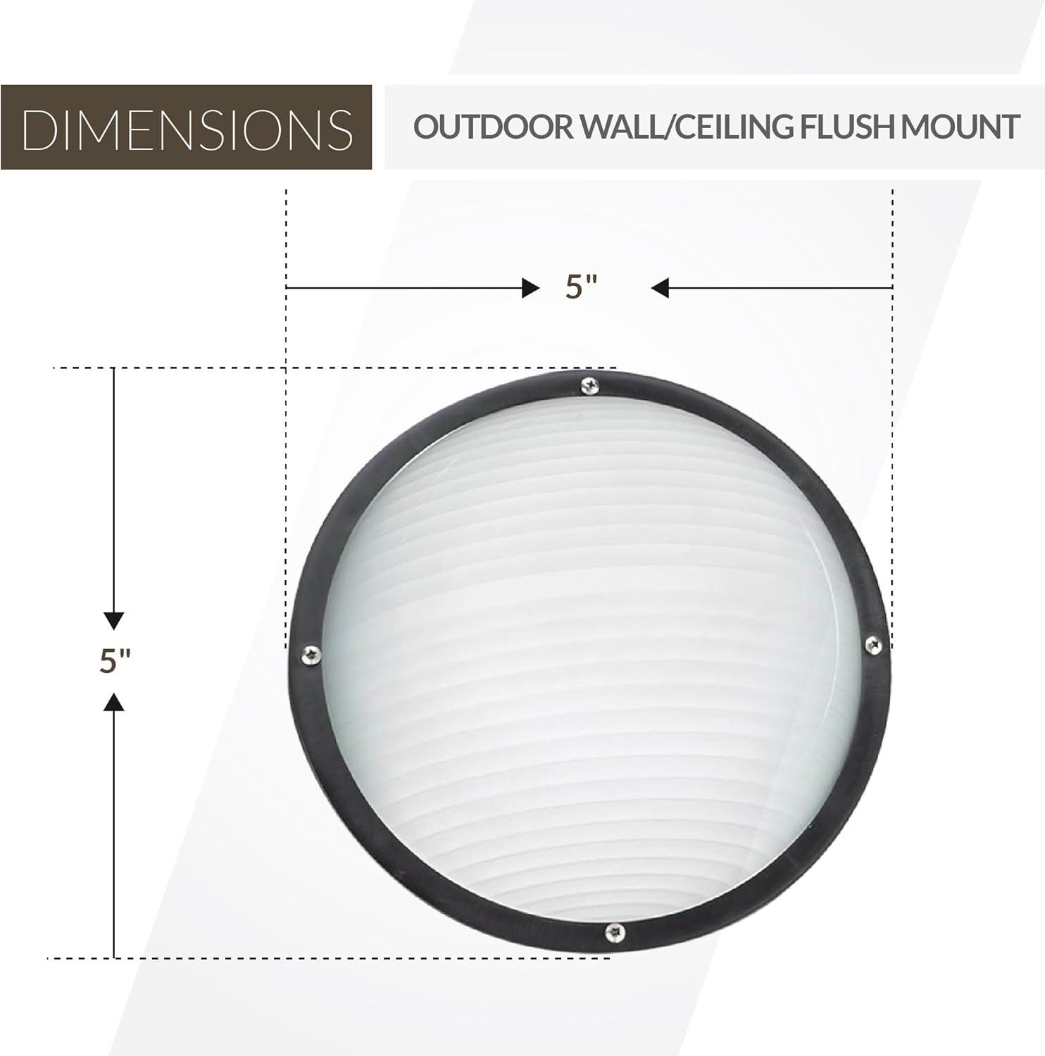 Black Frosted Glass Outdoor Ceiling Light with Ribbed Shade