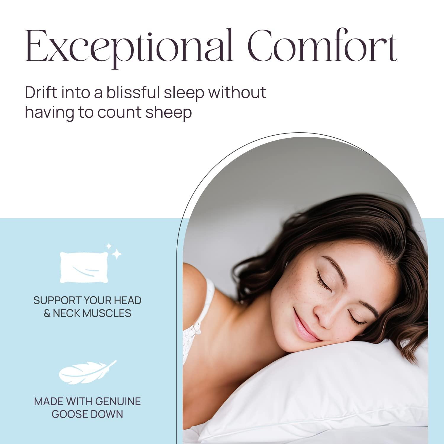 East Coast Bedding 10/90 Pure Dream Firm Goose Down Feather Pillow, King Size, Set of 2