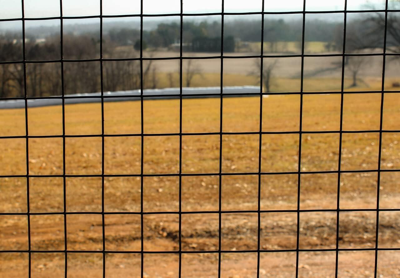 Trident Fence 6' x 100' 16ga. Welded Wire Fence Roll Black PVC Coated - 2"x 2" Mesh