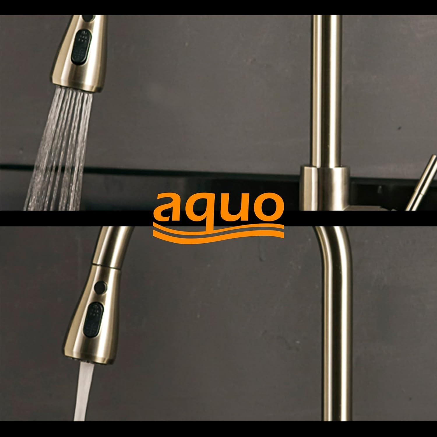 Aquo Pull Out Kitchen Faucet