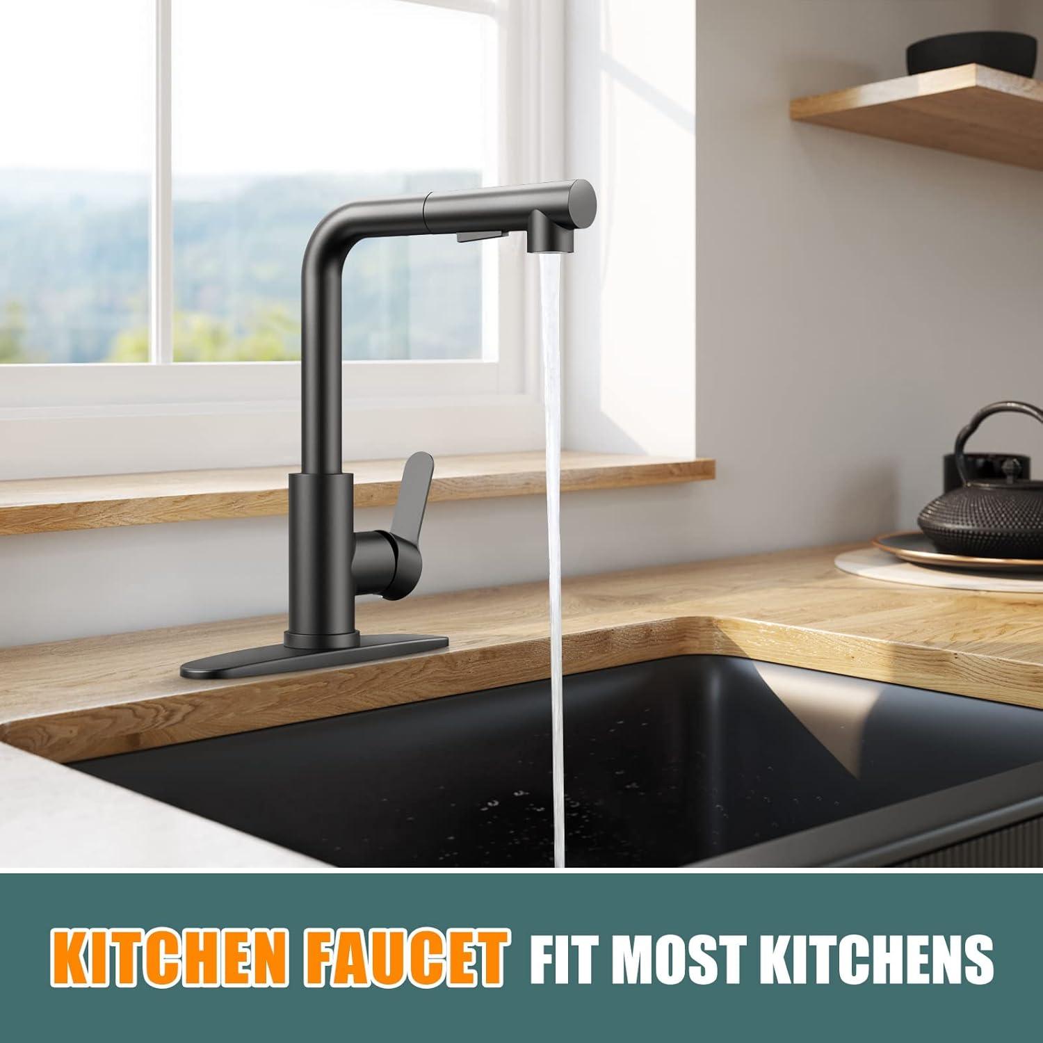 Matte Black Stainless Steel Pull-Out Spray Kitchen Faucet