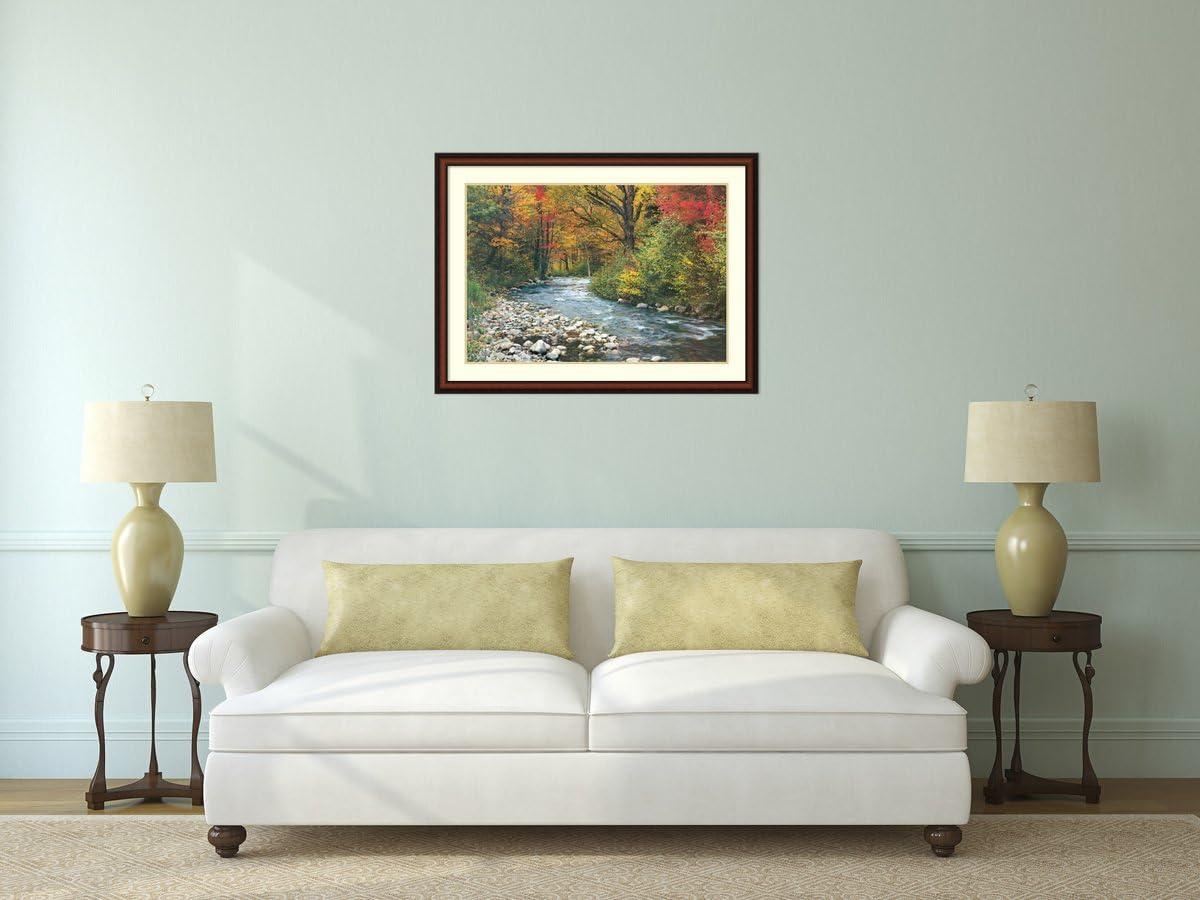 Forest Creek Fall Landscape Framed Wall Art in Walnut