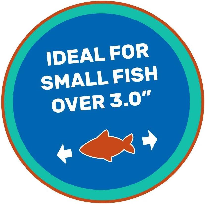 Hikari Cichlid Gold Color Enhancing Sinking Fish Food - Mini Pellet - 2.2 lbs