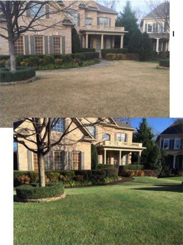 EnviroColor 4 Ever Green Grass Paint Gallon Treats 4,000 Ft², Treatment for Grass and Turf