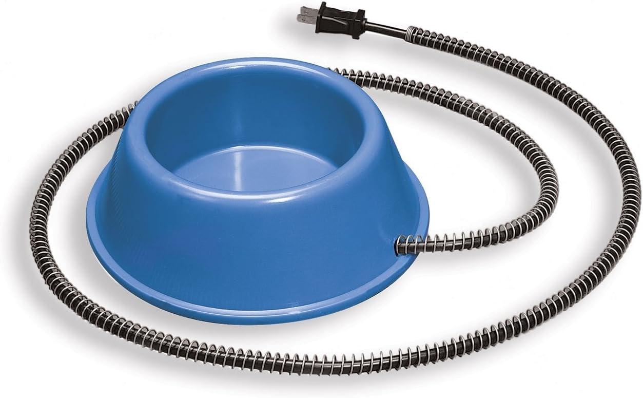 Blue Plastic Heated Pet Bowl with Anti-Chew Cord, 1 Quart