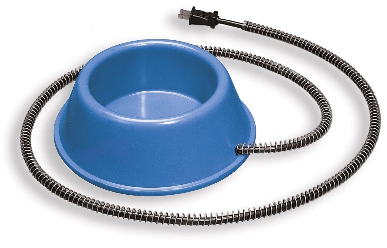 Blue Plastic Heated Pet Bowl with Anti-Chew Cord, 1 Quart