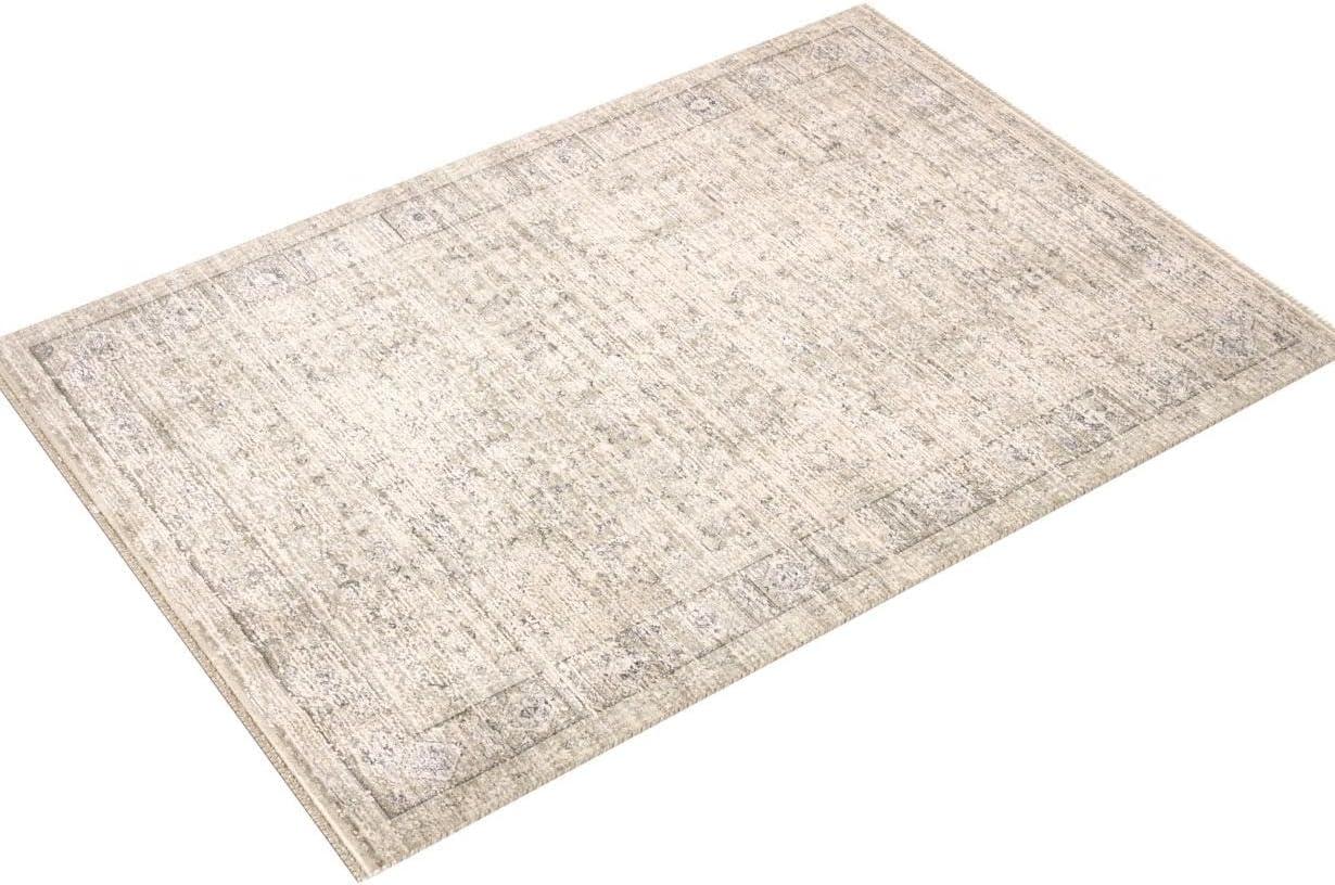 Amber Lewis x Loloi Alie Taupe / Dove Area Rug