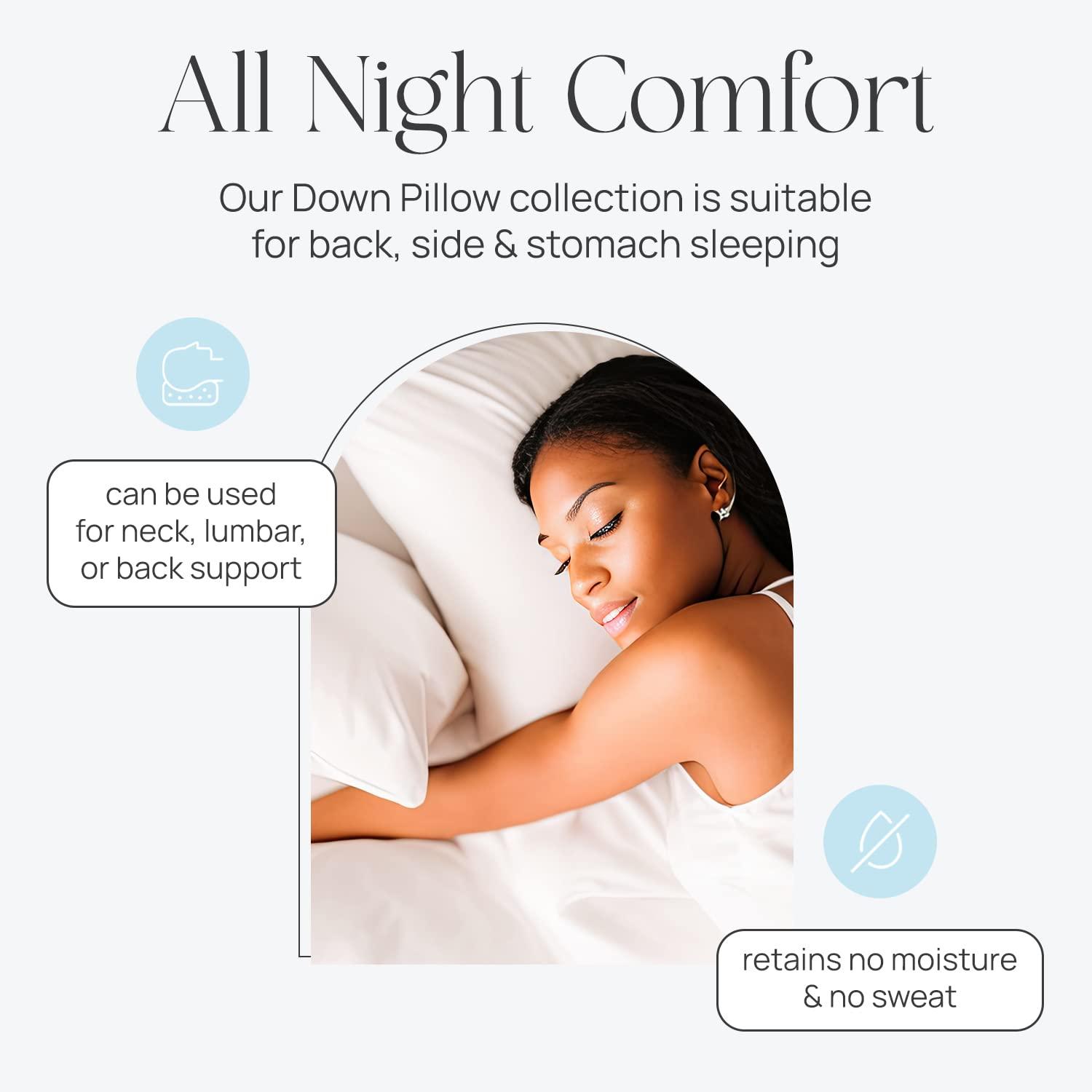 East Coast Bedding Down Medium Pillow (Set of 2)