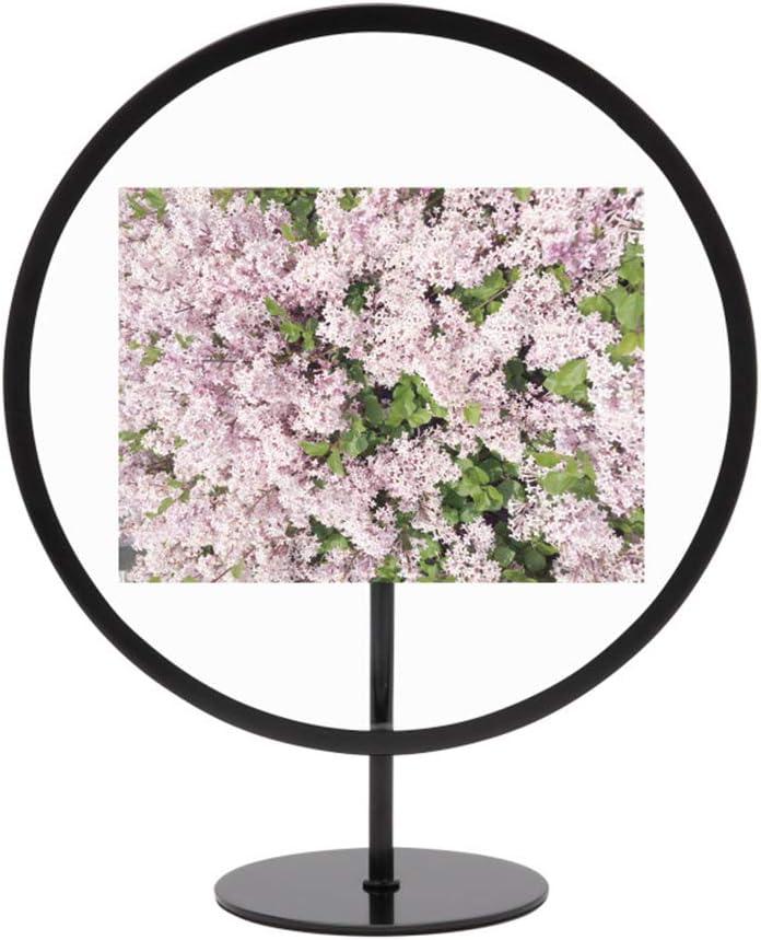 Umbra Metal Picture Frame