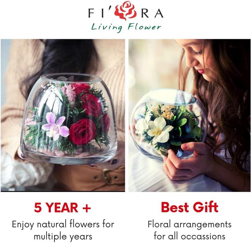 Fiora Flower Long-Lasting Roses and Orchid in a Glass Vase