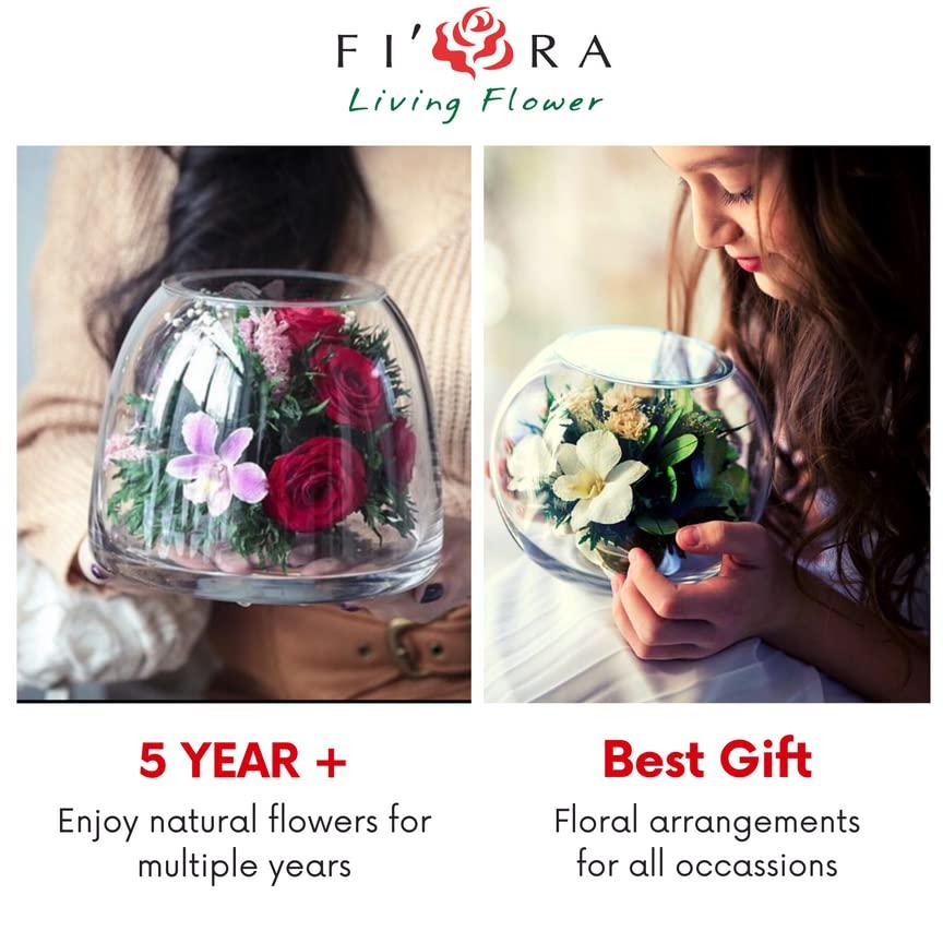 Fiora Flower Long-Lasting Roses and Orchid in a Glass Vase
