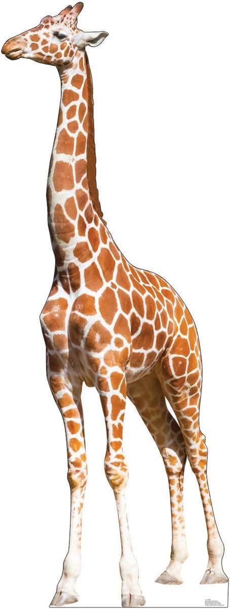 Giraffe Cardboard Cutout Stand Up, 7ft