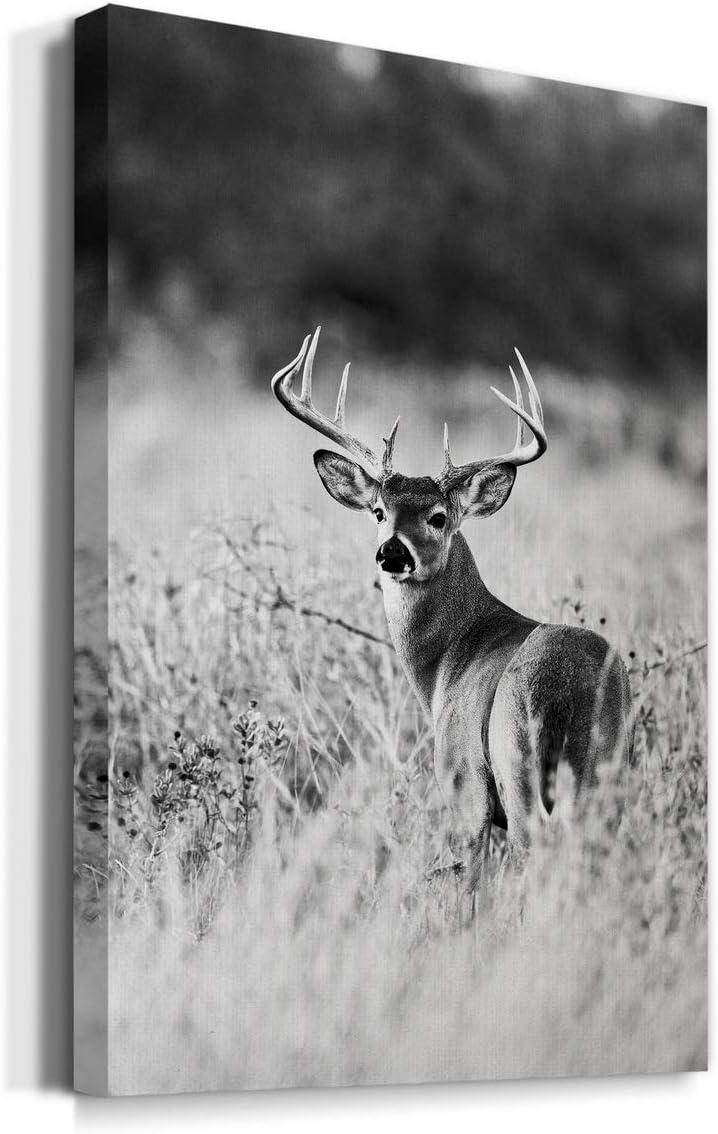 Shadudu Gallery Buck in Field Wall Art, Black & , Animal Artwork, Portrait Decor, Hunting Decorations, Premium Gallery Wrapped Canvas, Ready to Hang, 24x36in