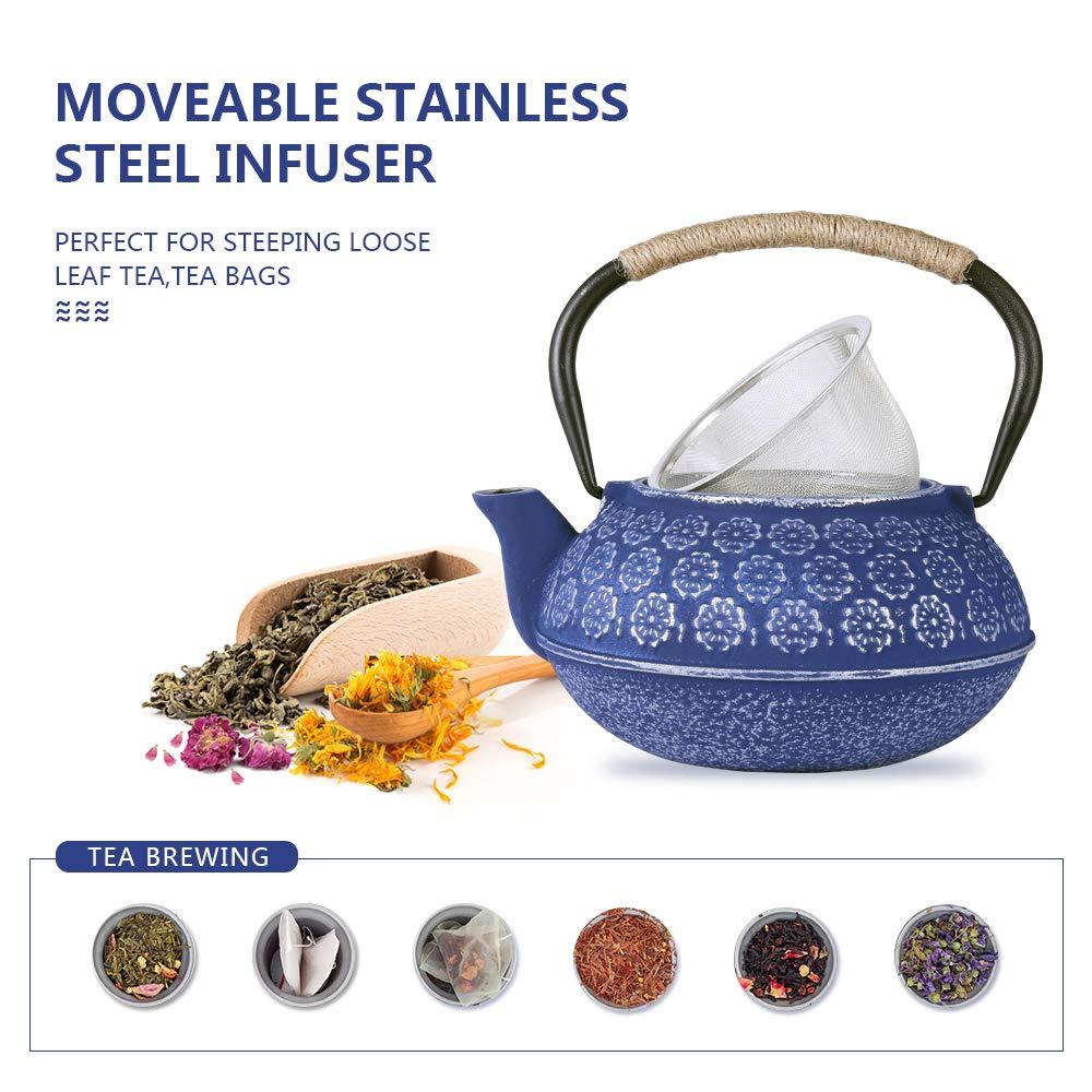 Darby Home Co Blue Floral Japanese Cast Iron Teapot Set with 4 Cups