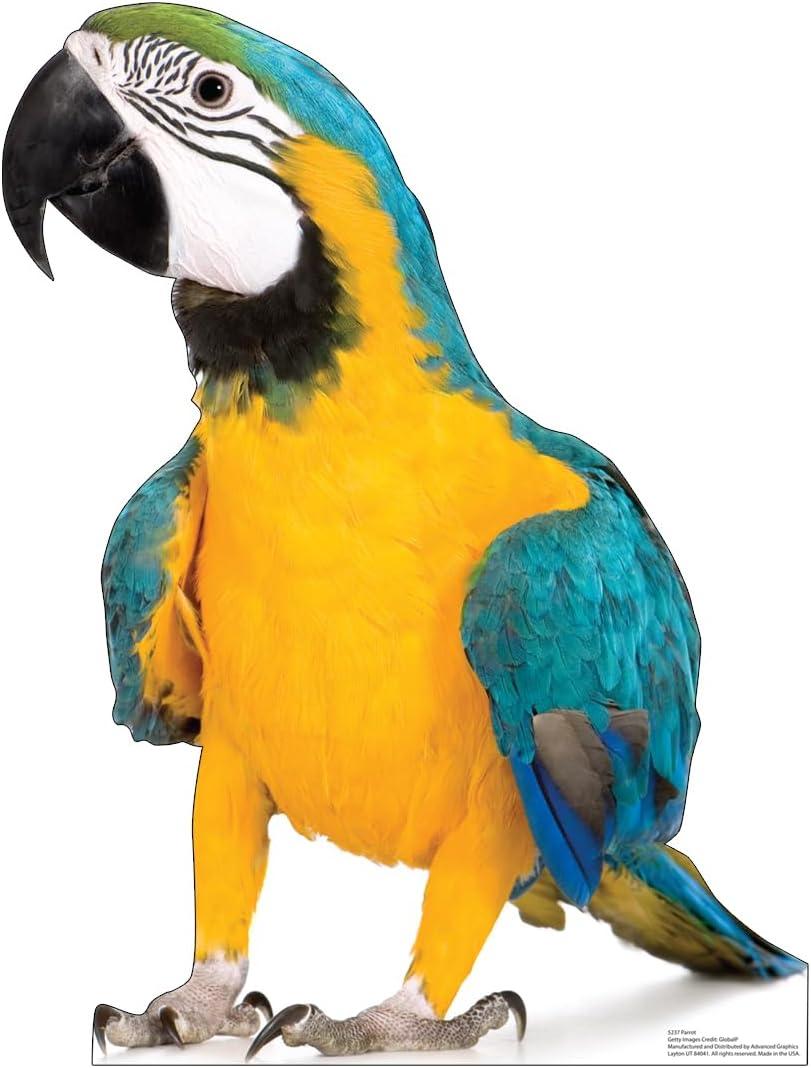 Advanced Graphics 5237 30 x 23 in. Parrot Life-Size Cardboard Cutout