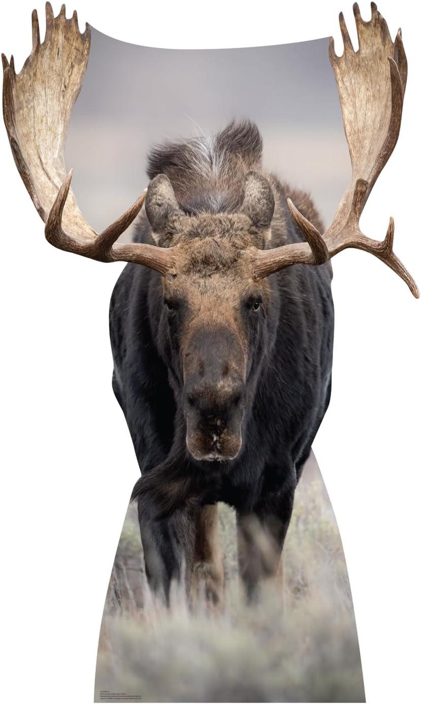 63 x 37 in. Moose Life-Size Cardboard Cutout