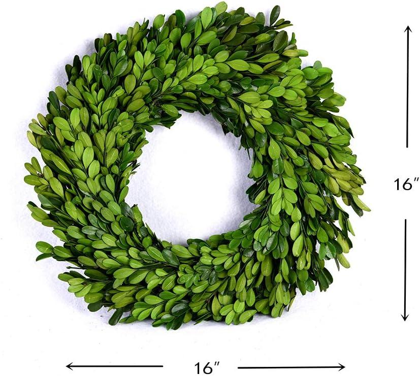 Alby Preserved Boxwood Real Greenery Wreath