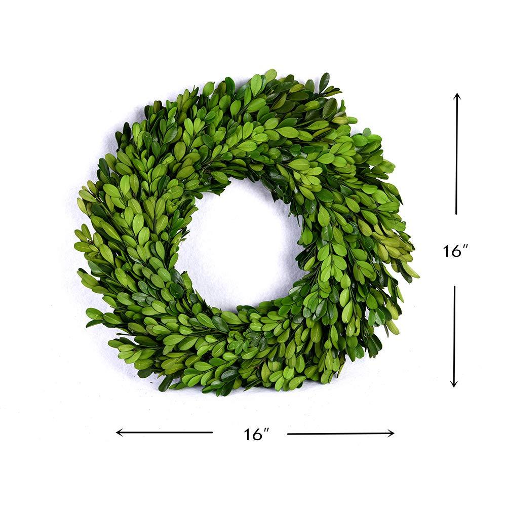 Alby Preserved Boxwood Real Greenery Wreath