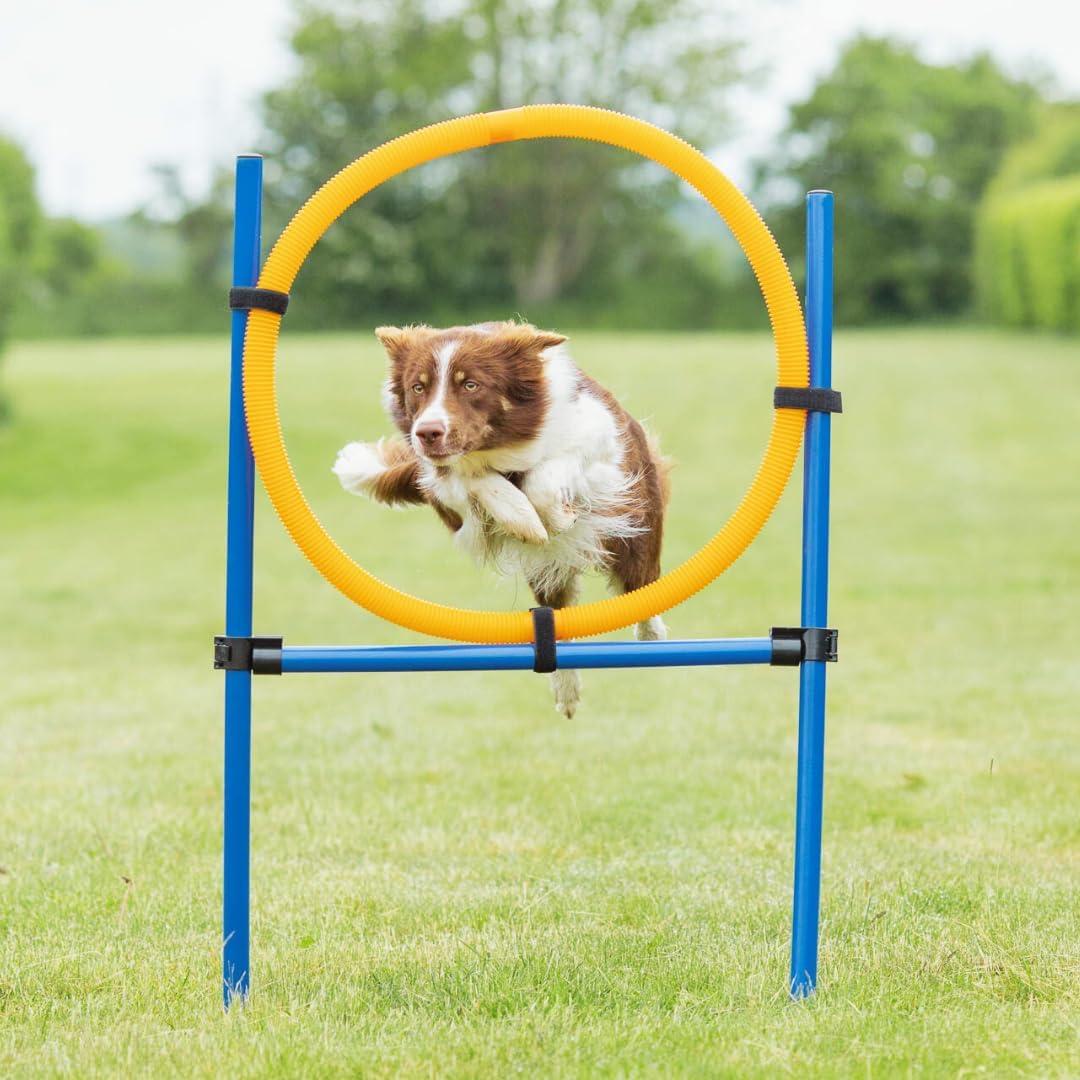 TRIXIE Dog Agility Ring, Portable Dog Hoop, Obstacle Course Equipment