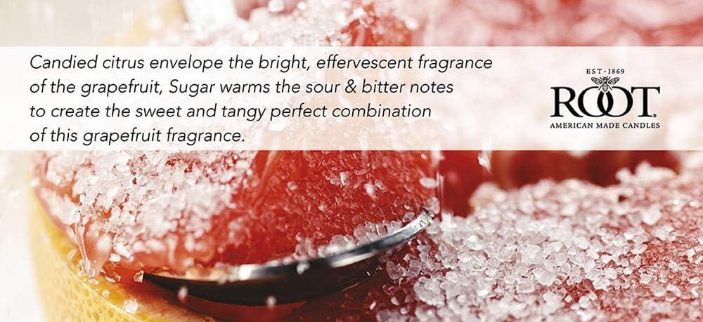 Root Candles Sugared Grapefruit Scented Jar Candle