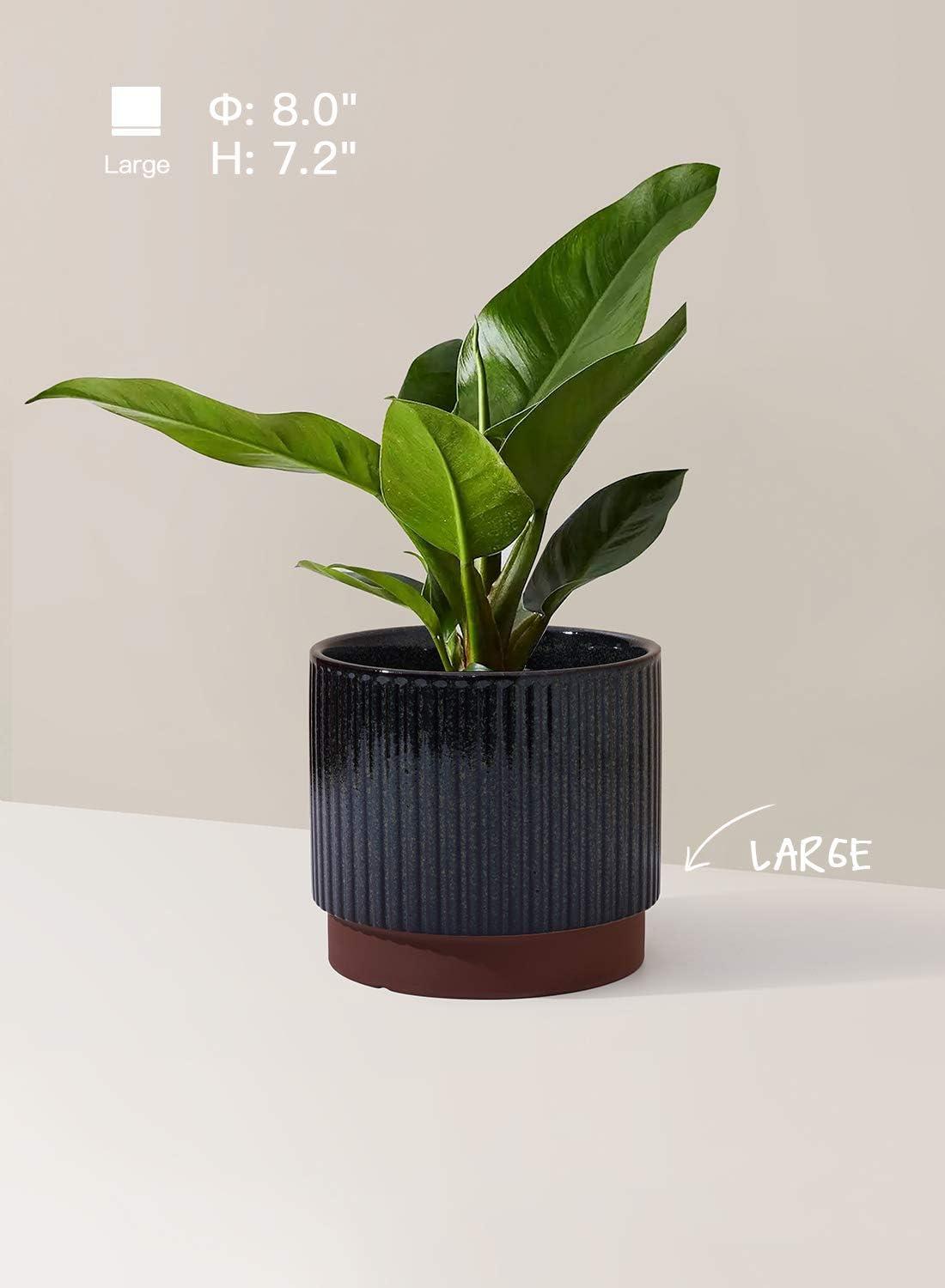 Reactive Glaze Black Ceramic Stripe Round Planter Set with Drainage Holes