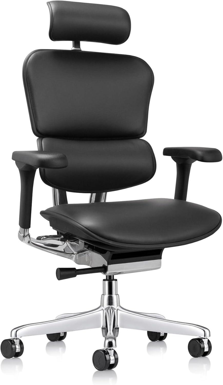 Eurotech Seating Ergohuman Executive Chair with Headrest