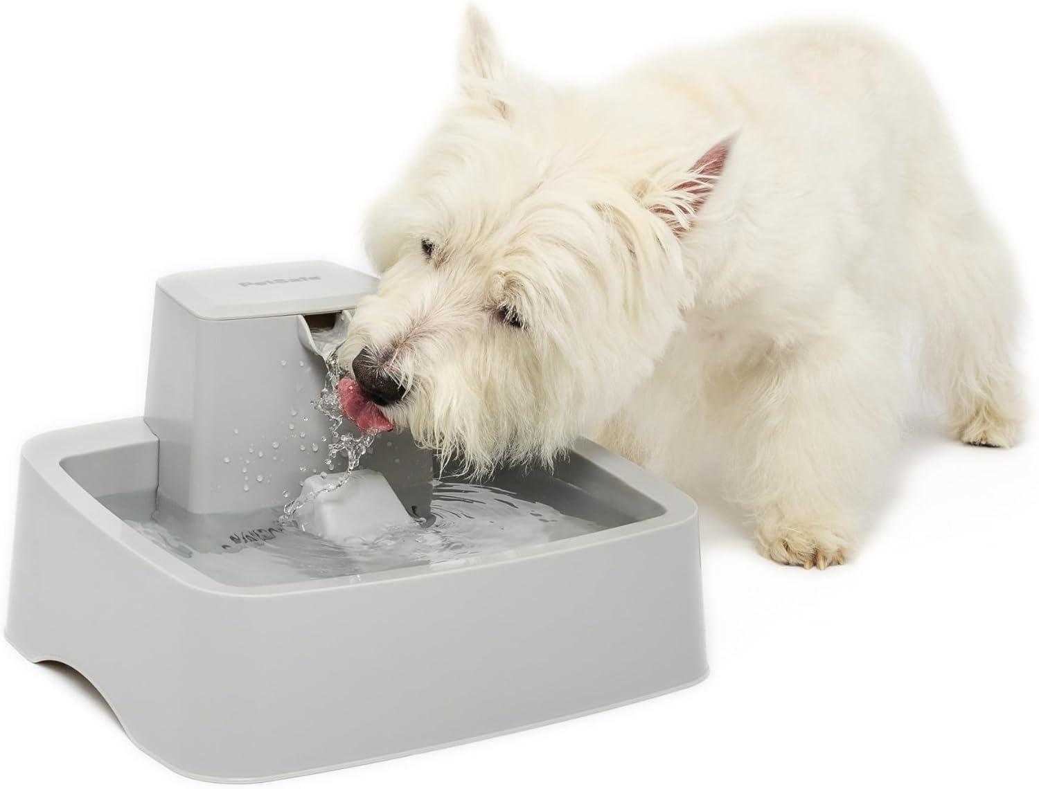 PetSafe® Drinkwell® Gallon Pet Fountain