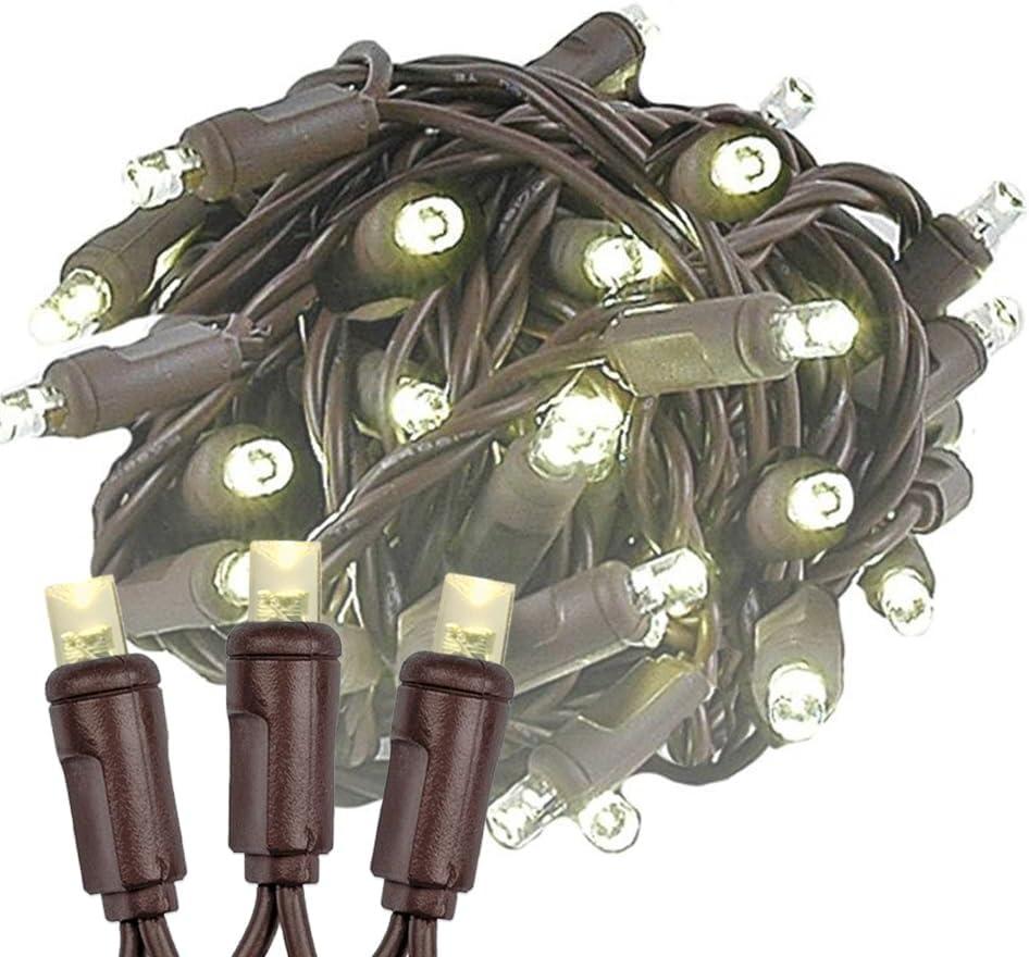 Novelty Lights Warm White 100 LED Christmas Mini Light Set (Brown Wire, 34 Feet)