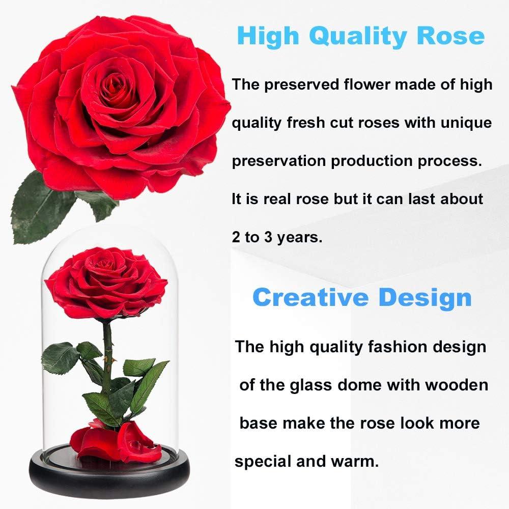 Preserved Roses Real Preserved Rose in Glass Dome with Wooden Base, Rose Preserved Never Withered Romantic Gifts for Her, Valentine's Day, Mother's Day, Birthday