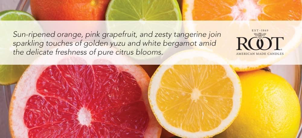Root Candles Citron and Bergamot Scented Jar Candle