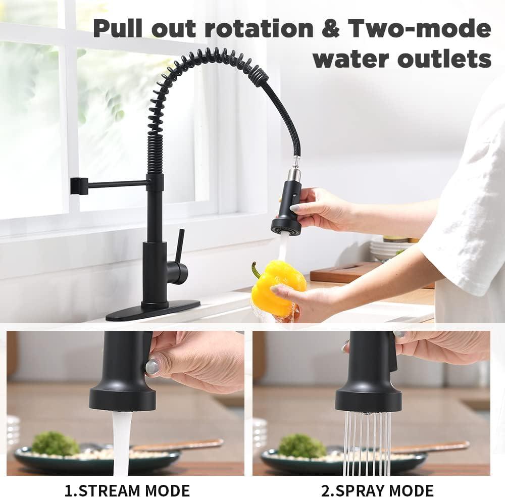 Black Stainless Steel Kitchen Faucet with Pull-out Spray