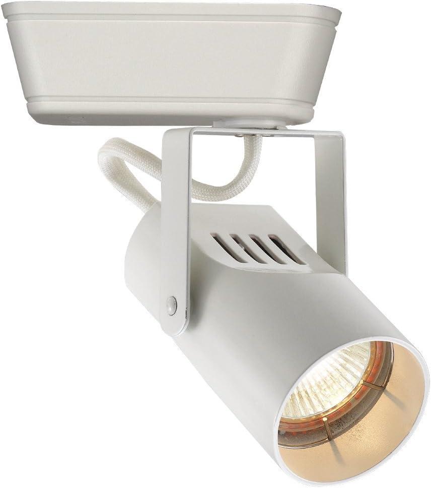 LED Adjustable Track Head