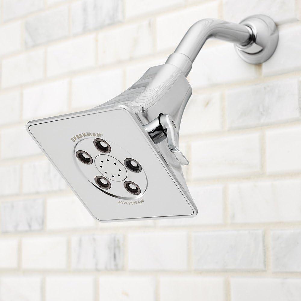 Rainier 2.0 GPM Adjustable Shower Head