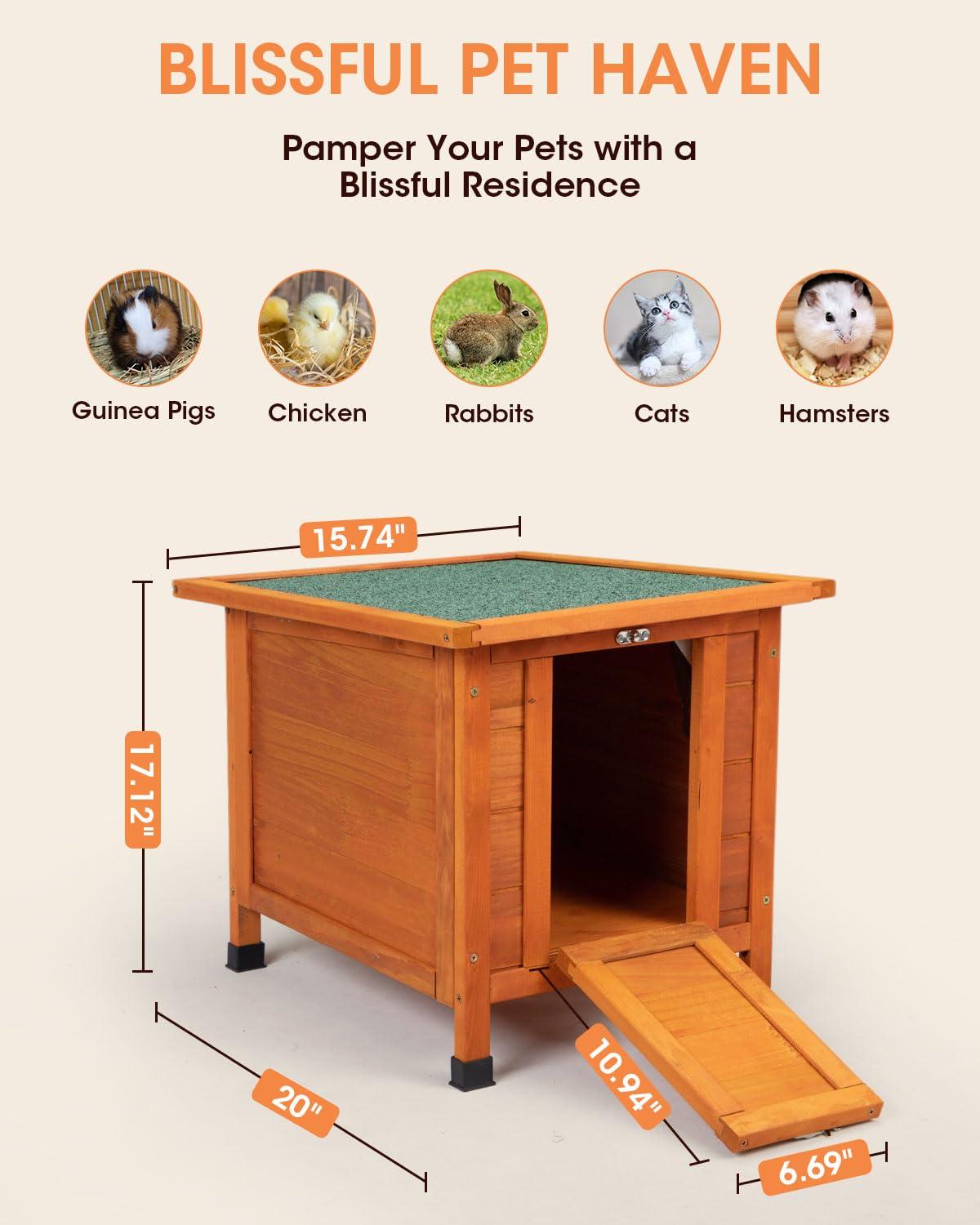 Small Wood Rabbit Hutch Bunny Cage, Raised Cat House with Ladder for Small Animals, Orange