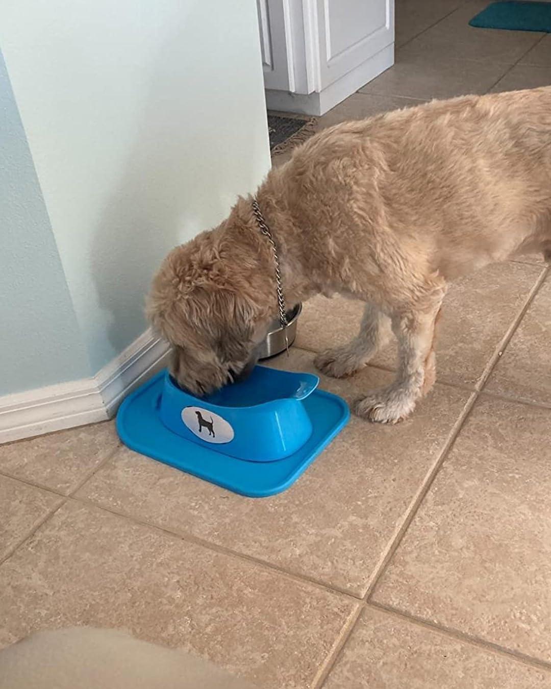 Small Blue Ergonomic Plastic Dog Bowl with Stand