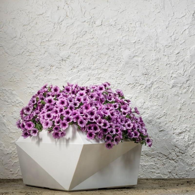 Lightweight Origami Indoor/Outdoor Planters