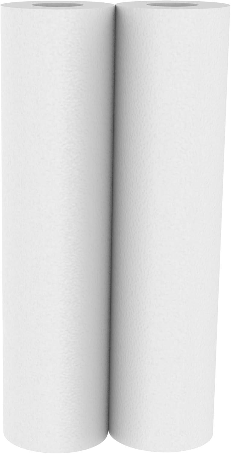 OmniFilter RS14-DS Whole House Sediment Filter Cartridge 2-Pack