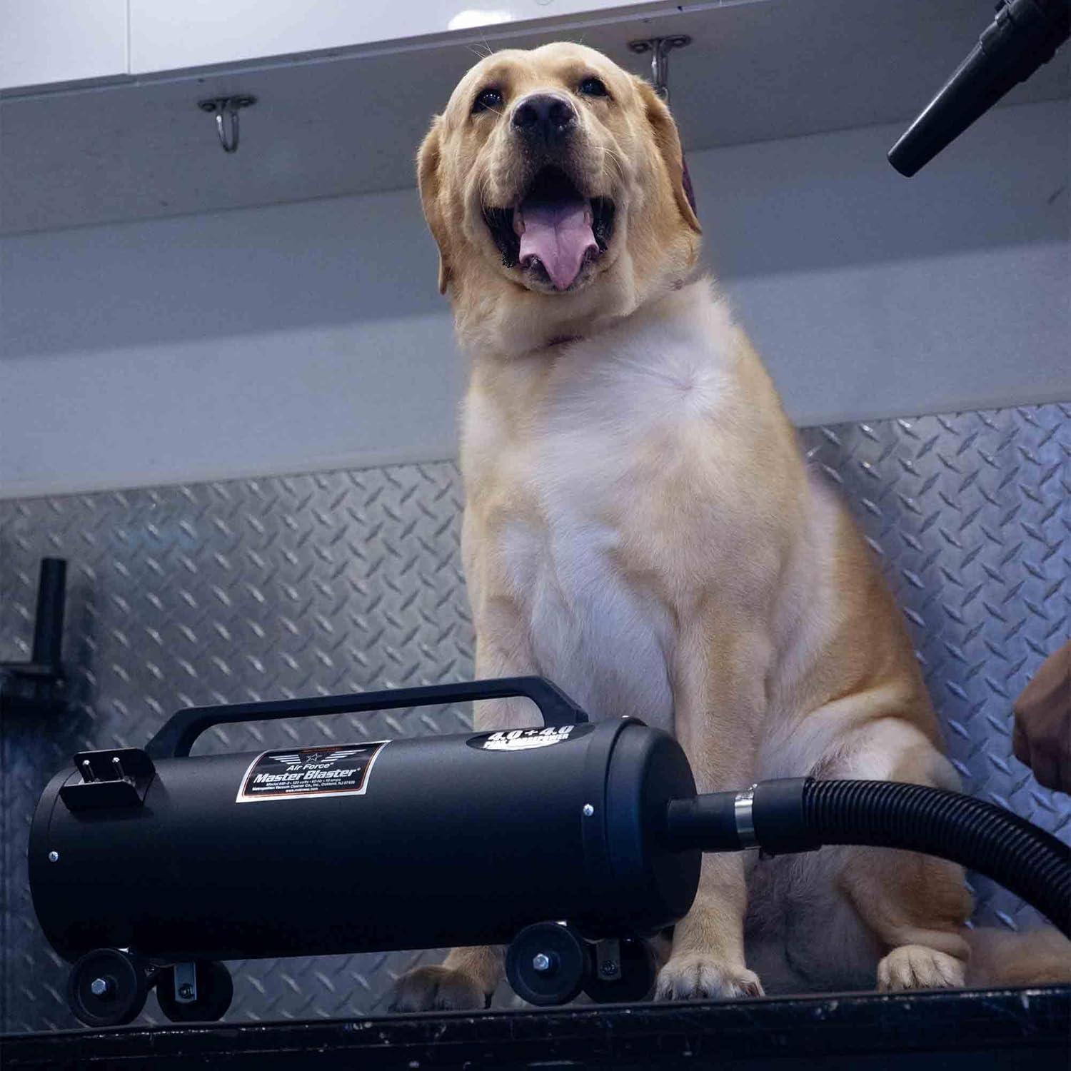 Black Steel Air Force Master Blaster Pet Dryer with Hose