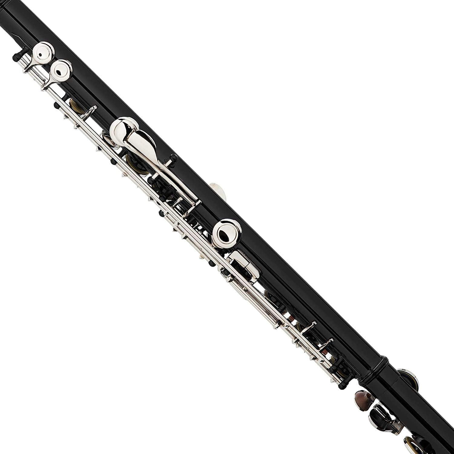 Mendini By Cecilio Flute, 16 Keys C Flute Instrument Closed Hole For Beginners with Carrying Case, Cork Grease, Stand, Lesson Book, Cleaning Kit, Gloves (Black)