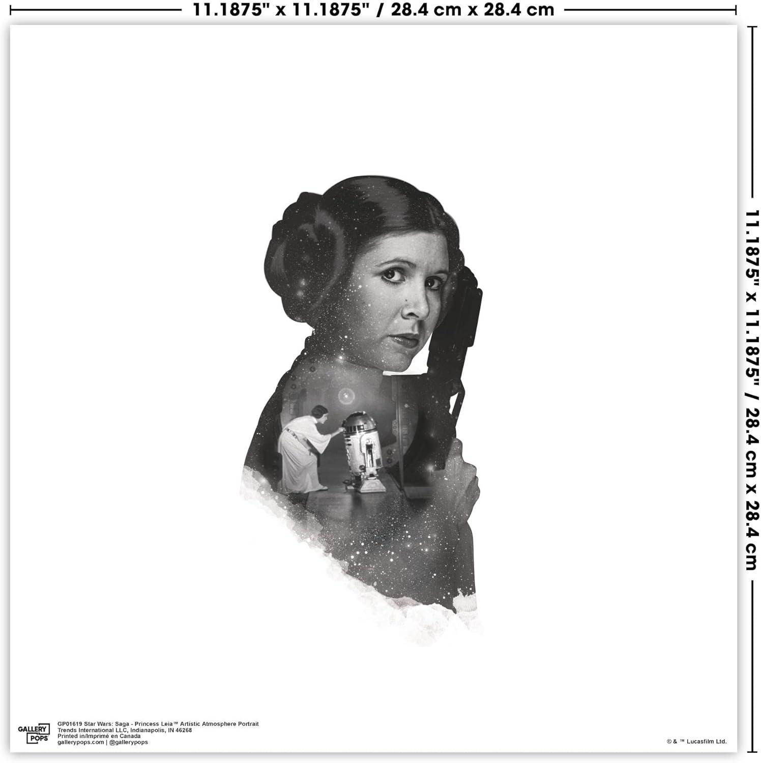 Gallery Pops Star Wars: Saga - Princess Leia Artistic Atmosphere Portrait Wall Art, Unframed Version, 12" x 12"