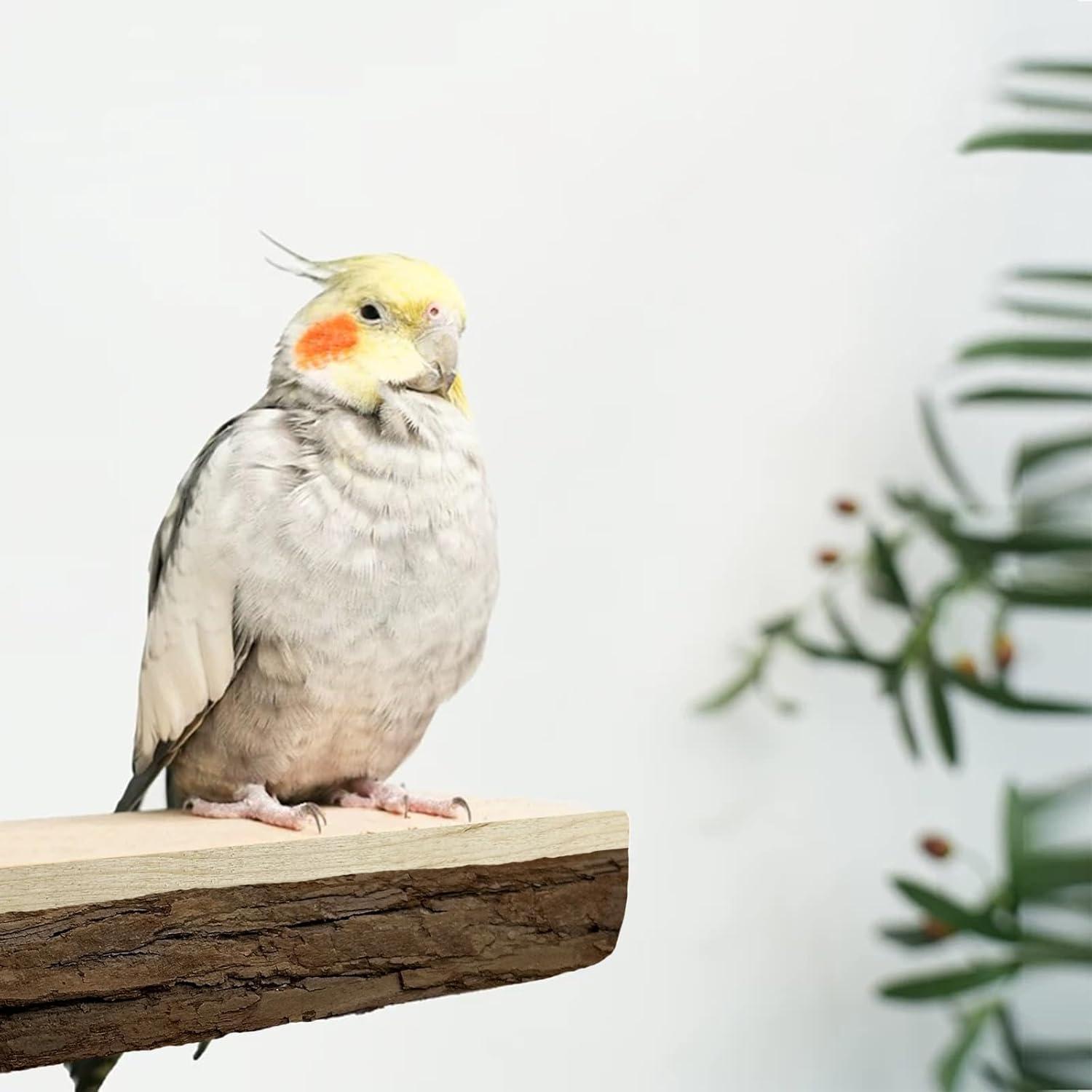 Allazone Natural Wooden Bird Perch Stand for Cage, Parrot Platform, Bird Perch Toy for Small Animals, Cockatiels, Parakeets, Finches