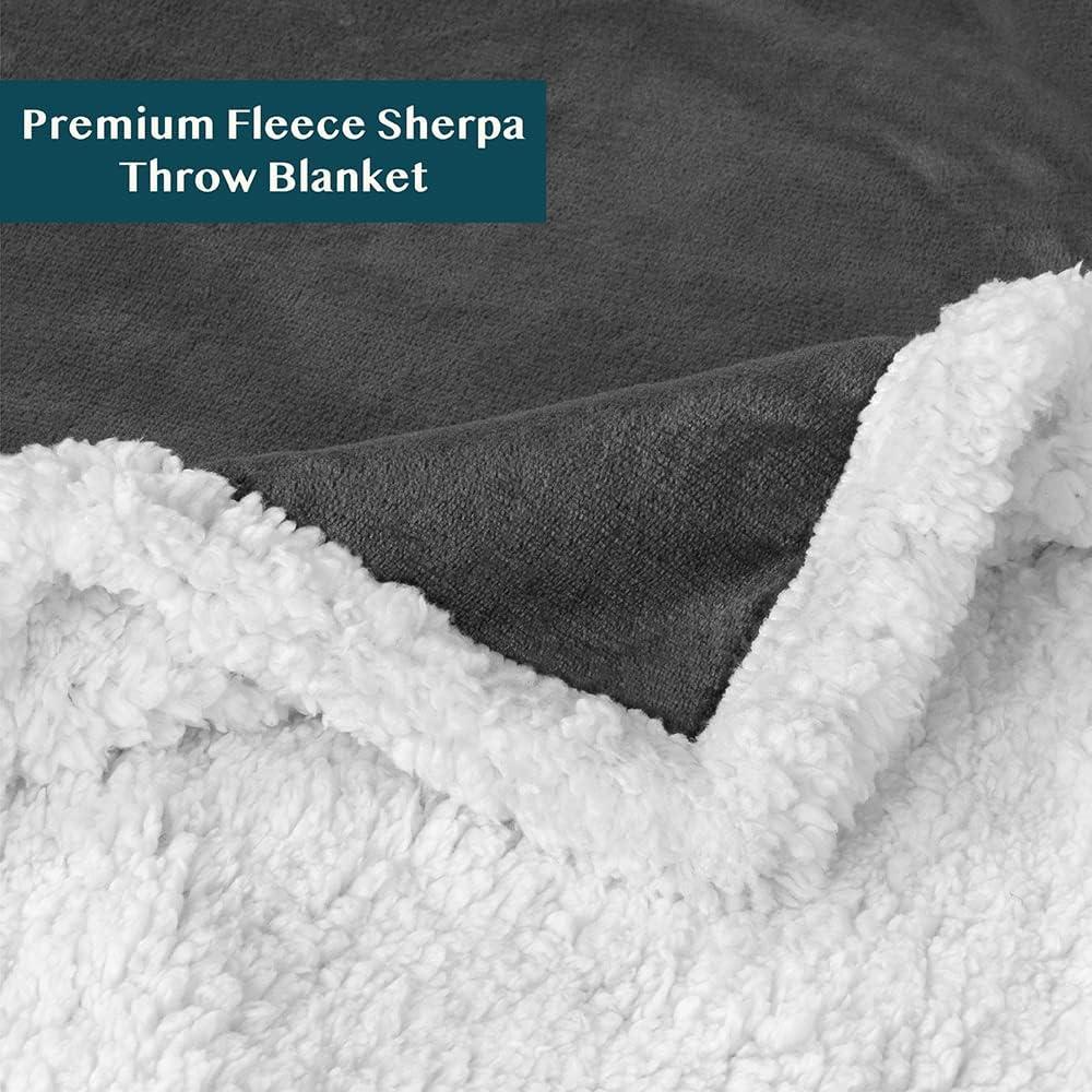 PAVILIA Premium Faux Shearling Fleece Throw Blanket for Bed, Reversible Warm Blanket for Couch Sofa