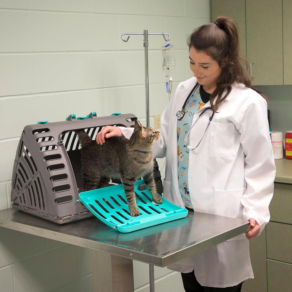 Sport Pet Designs, Foldable Plastic Travel Cat Carrier, Waterproof Bed included, 35 lb Limit, Gray