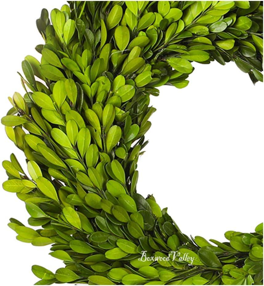 Boxwood Wreath 14 inch Preserved Nature Boxwood Wreath Home Decor Stay Fresh for Years Easter Wreath (Boxwood Wreath 14 inch)