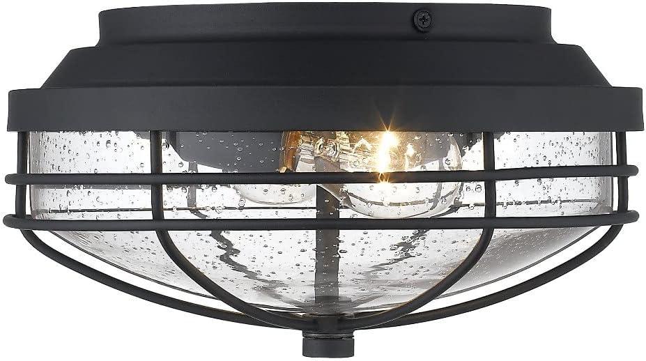 Golden Lighting Seaport 2-Light Outdoor Flush Mount in Natural Black with Seeded Glass