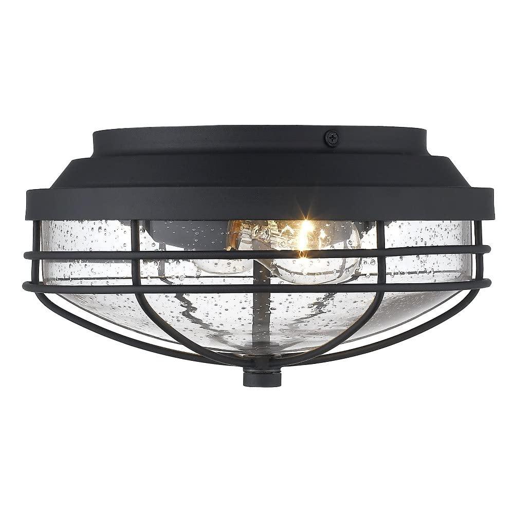 Golden Lighting Seaport 2-Light Outdoor Flush Mount in Natural Black with Seeded Glass