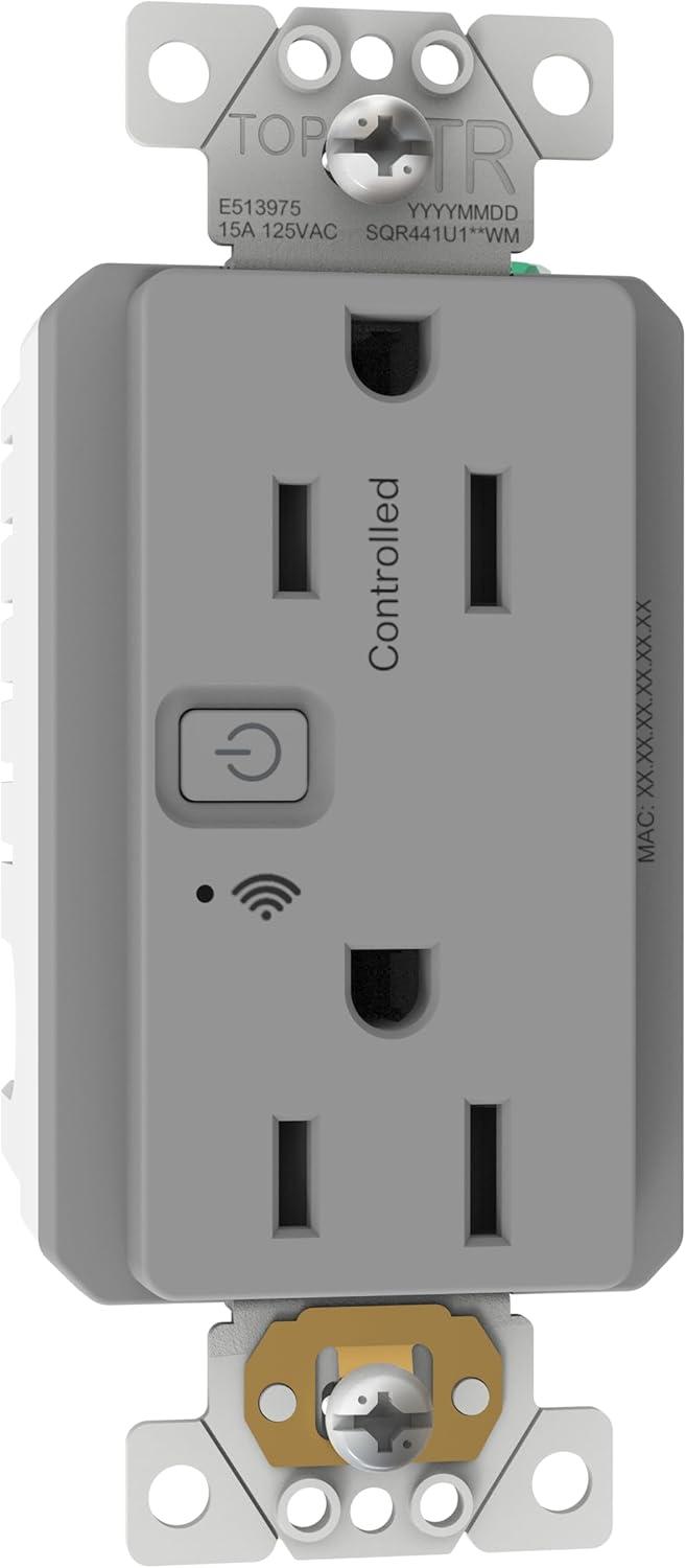 Gray 15A Tamper Resistant USB Outlet with Wall Plate